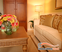 upholstery_cleaning02