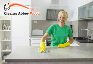 Professional Cleaners Abbey Wood