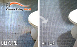 bathroom-cleaning-abbey-wood