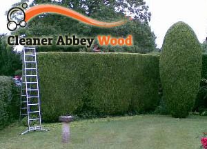 Hedge Maintenance Abbey Wood