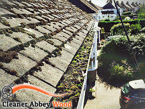 gutter-cleaning-abbey-wood